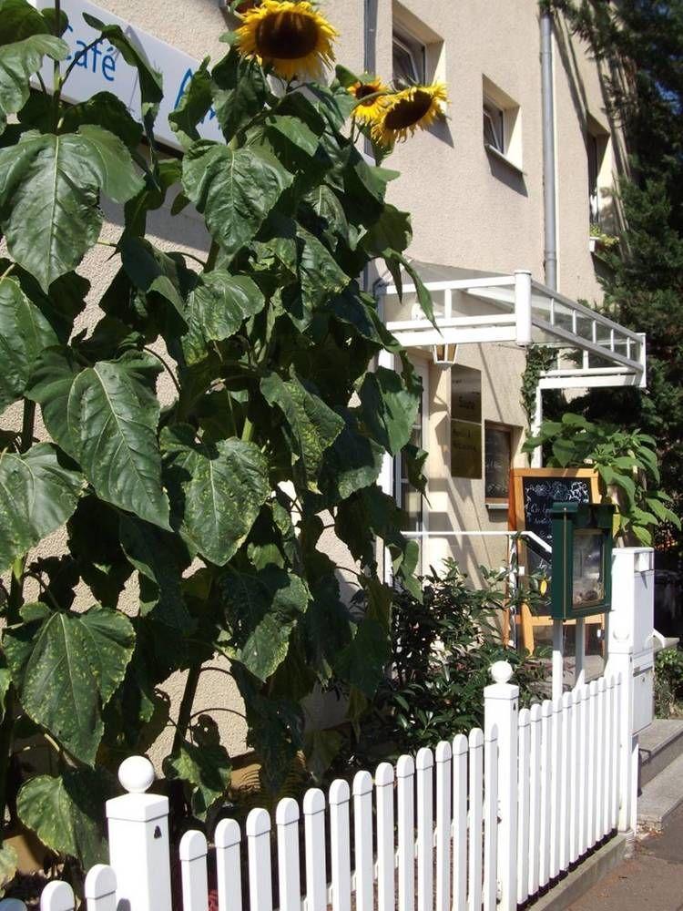 Pension & Cafe Am Kraehenberg Halle  외부 사진